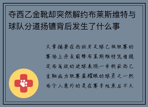 夺西乙金靴却突然解约布莱斯维特与球队分道扬镳背后发生了什么事